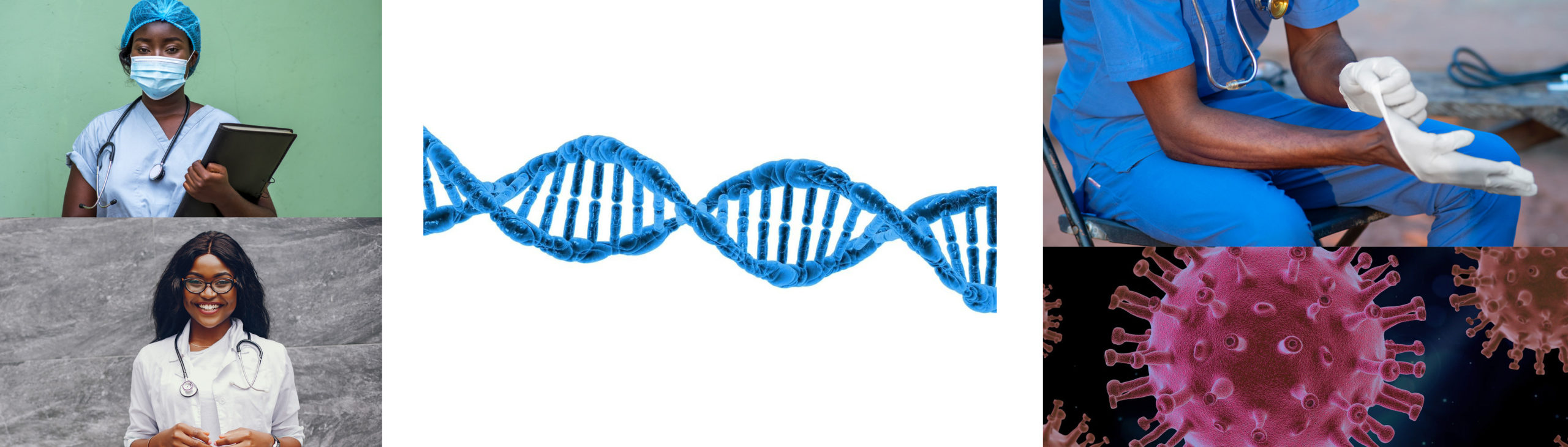 mise en avant denovo