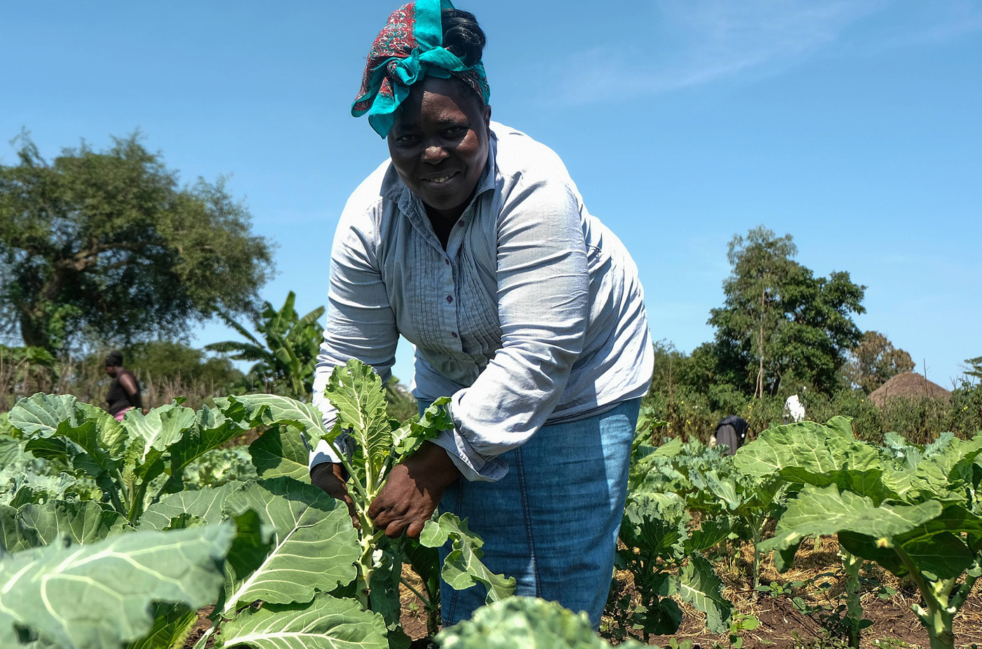 La Cote d’Ivoire et le Sénégal au Salon International de l’Agriculture 2023